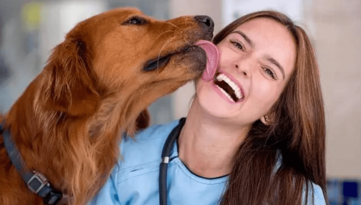 Is it actually dirty when your dog licks you? 90% of dog owners are worrying about the wrong thing.